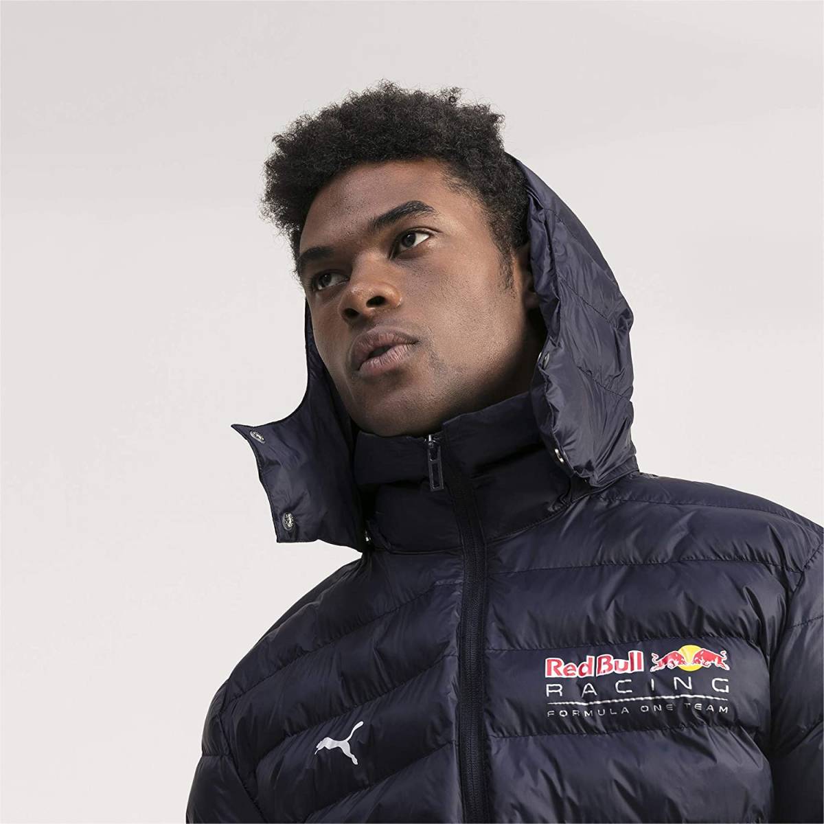 新品タグ付き Lサイズ PUMA Red Bull プーマ レッドブル レーシング 