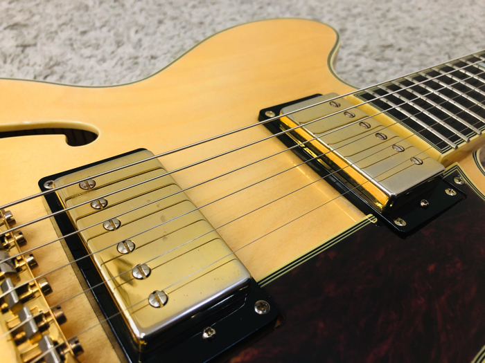 Epiphone SHERATON II PRO / エピフォン シェラトン プロ セミ
