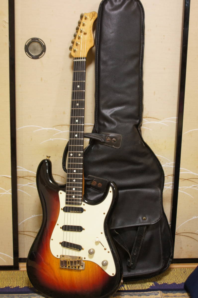 Arts Valley M Series ストラト Pro エレクトリックギター Custom
