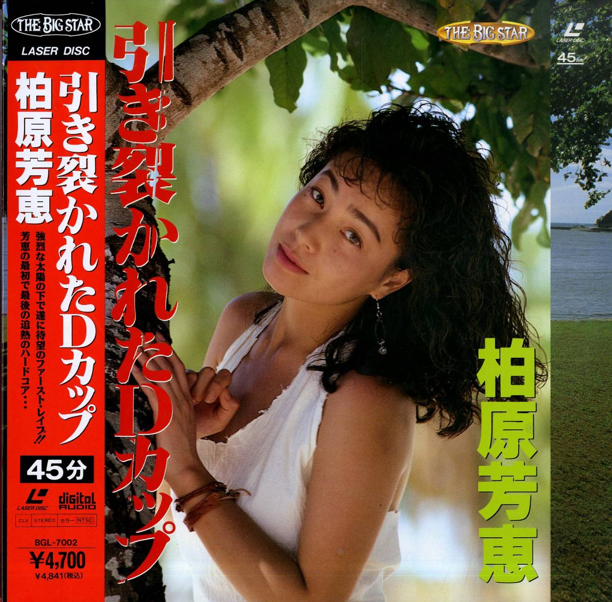 B00122333/【グラビア】LD/柏原芳恵「引き裂かれたDカップ」(レーザー