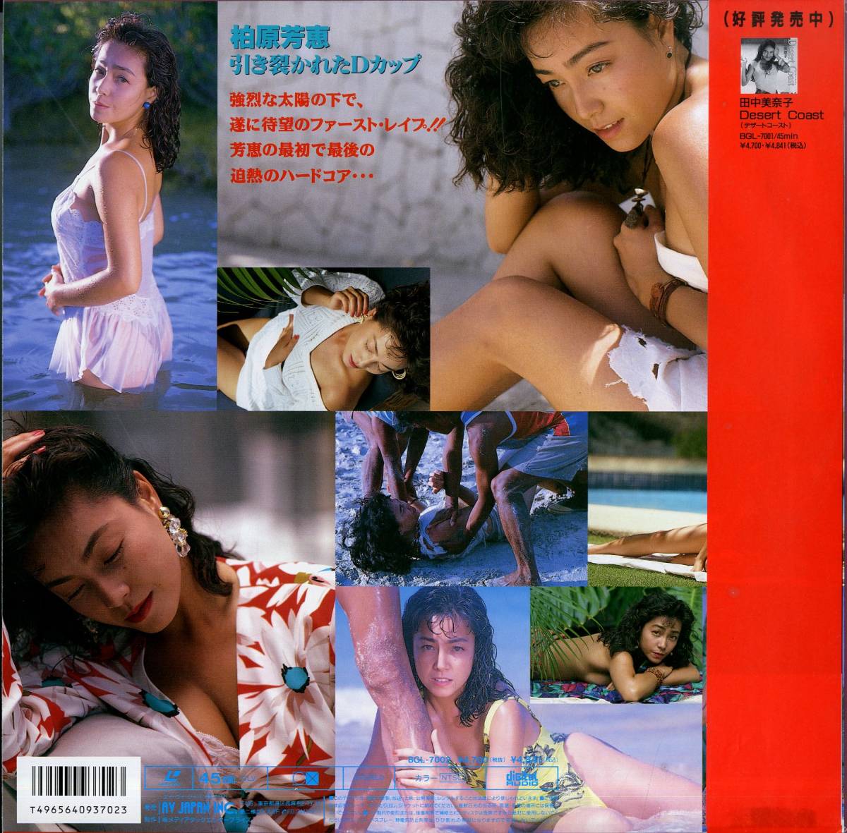 B00122333/【グラビア】LD/柏原芳恵「引き裂かれたDカップ」(レーザー