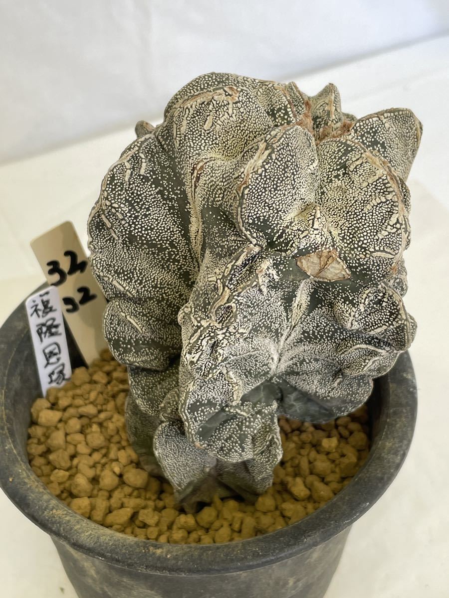 m46657020761_1