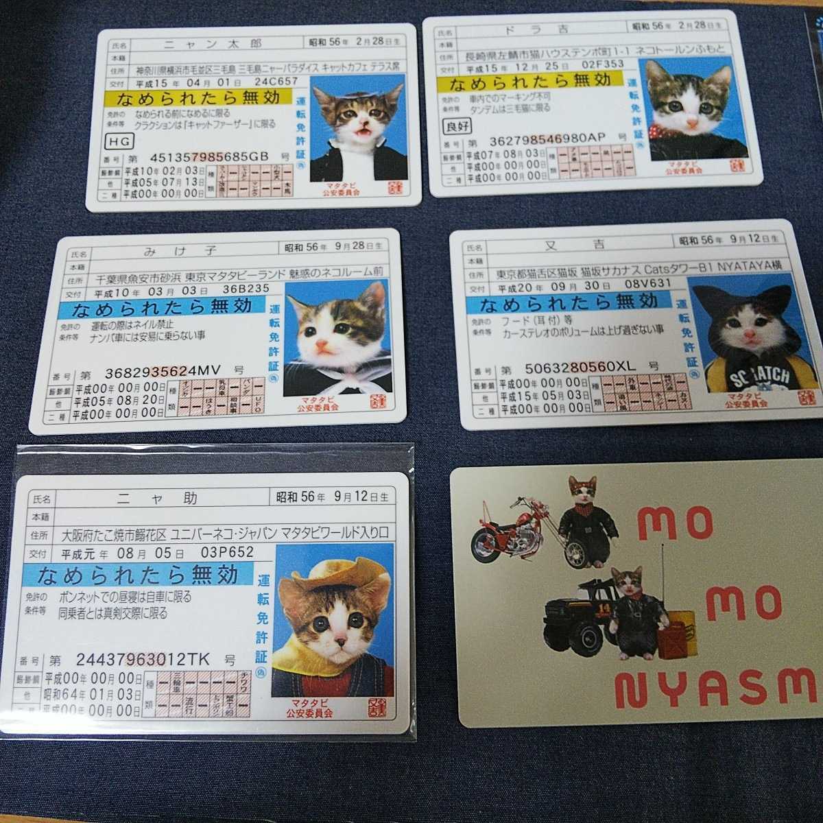 なめ猫 なめんなよ 免許証 カードコレクション 昔懐かしいなめんなよ免許証カード パロディーカード付 三毛猫 ドラ吉 又吉 ニャ助 その他 売買されたオークション情報 Yahooの商品情報をアーカイブ公開 オークファン Aucfan Com