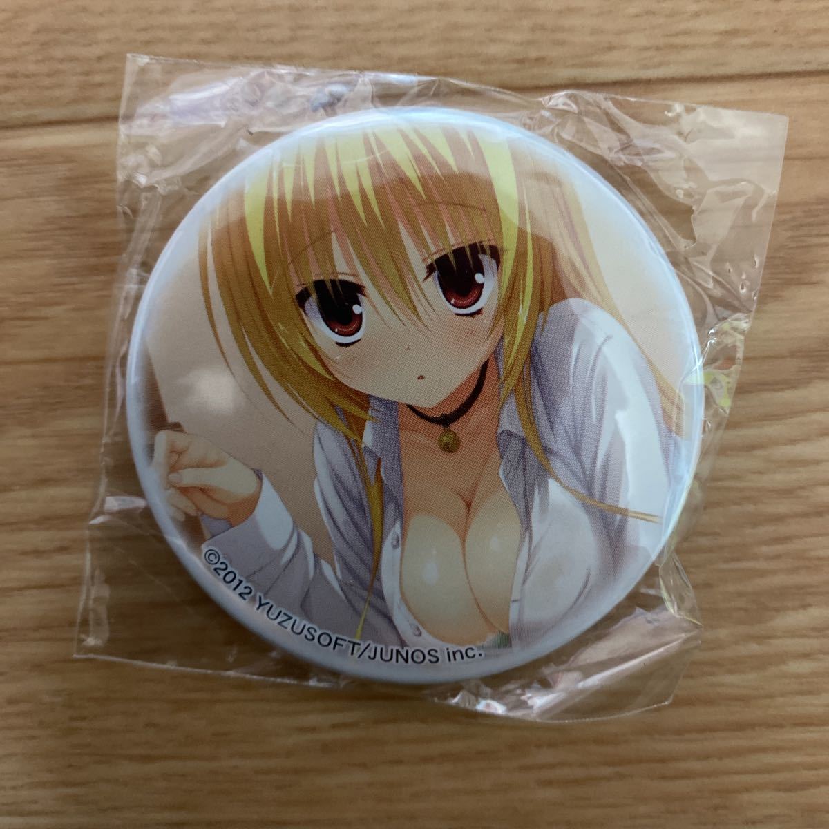 ゆずソフト DRACU-RIOT! ドラクリオット 缶バッジ こぶいち ニコラ 