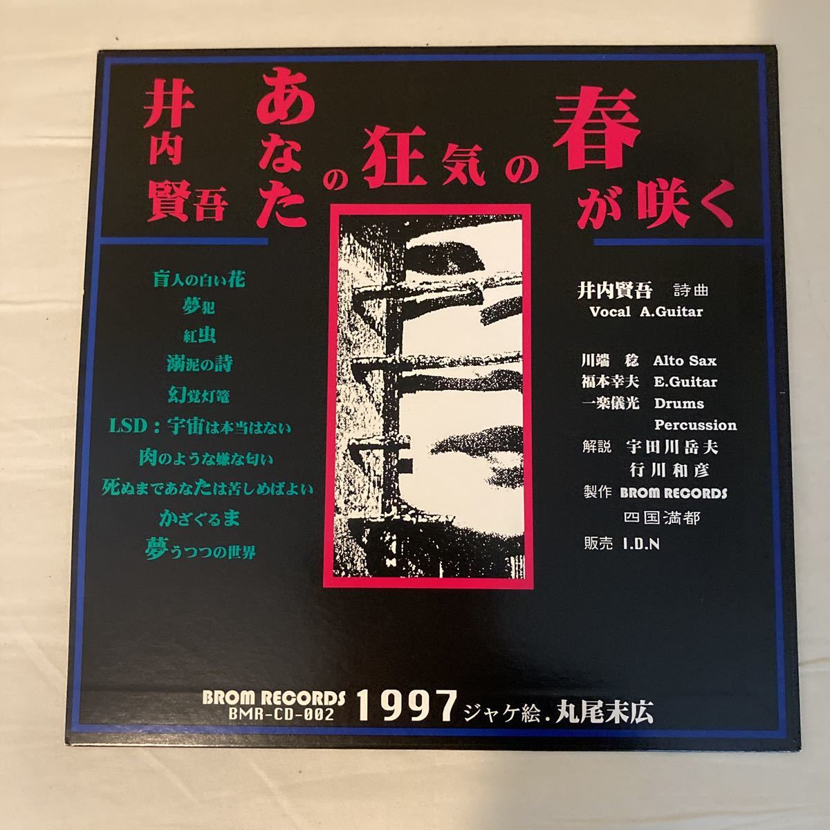 CD 井内賢吾 あなたの狂気の春が咲く 完品 シール付き 帯付き