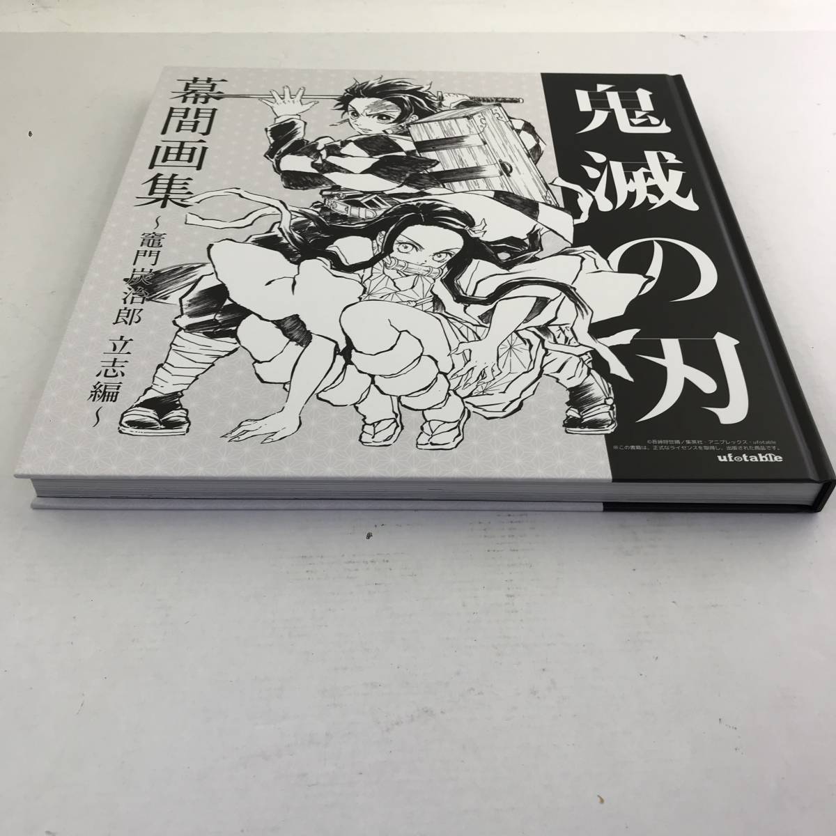 美品】鬼滅の刃 ~竈門炭治郎 立志編~ 幕間画集 豪華版 吾峠呼世晴 