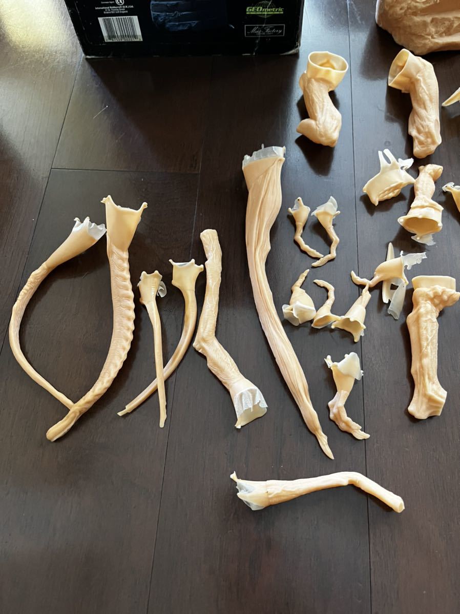 パンプキンヘッド ガレージキット 竹谷隆之 現状 手つき品