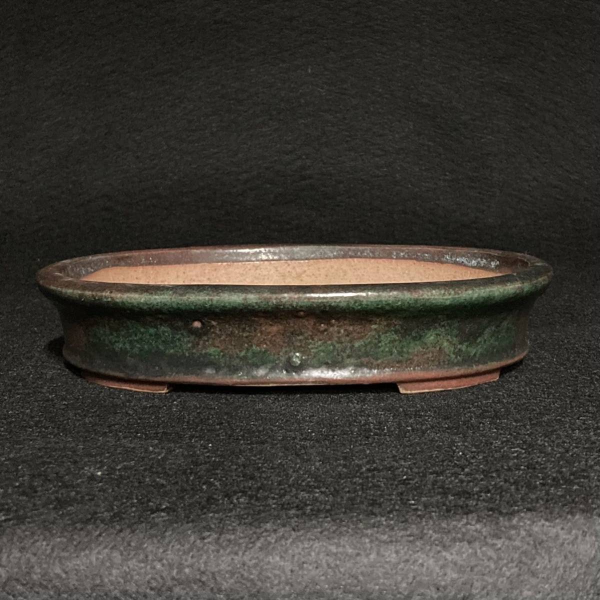 明樹園lite]相羽鴻陽 小品盆栽鉢 20cm 名称