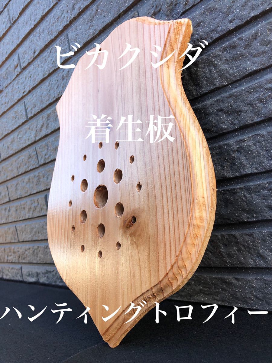 ビカクシダ 着生板 おしゃれ インテリア ウォルナット コウモリラン ハンティングトロフィー 壁掛け 格安販売の ハンティングトロフィー