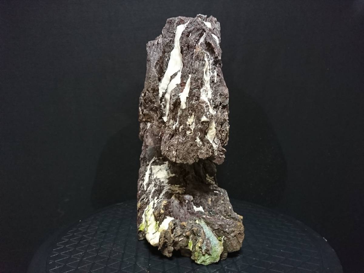 ビャクシン】龍岩石 揖斐石 石付盆栽 水石 盆石 鑑賞石 天然石 