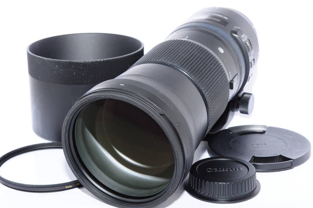 DG F5-6.3 OS 150-600mm HSM DN | シグマ Sports SIGMA - シグマ150 