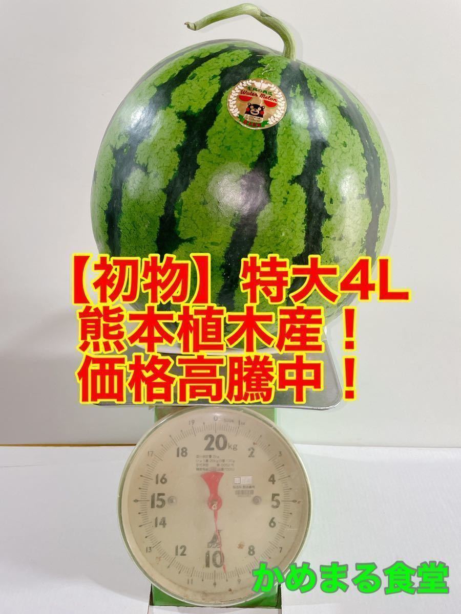 Gw前市場価格上昇中 初物 西瓜 スイカ 特大4l 約9 10k 熊本植木産 かめまる食堂10 スイカ 売買されたオークション情報 Yahooの商品情報をアーカイブ公開 オークファン Aucfan Com