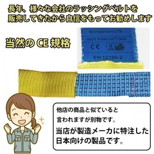 4本セット ラッシングベルト ラチェット式 荷重3t ベルト長5m 幅50mm 両端アイタイプ A0004【まとめ取引可】
