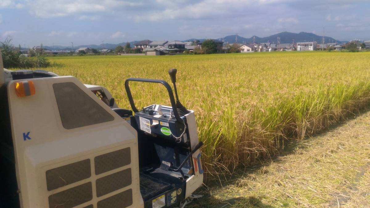 兵庫県産 30kg 令和7年産 ヒノヒカリ(うるち米 新米 玄米 兵庫県産」の 