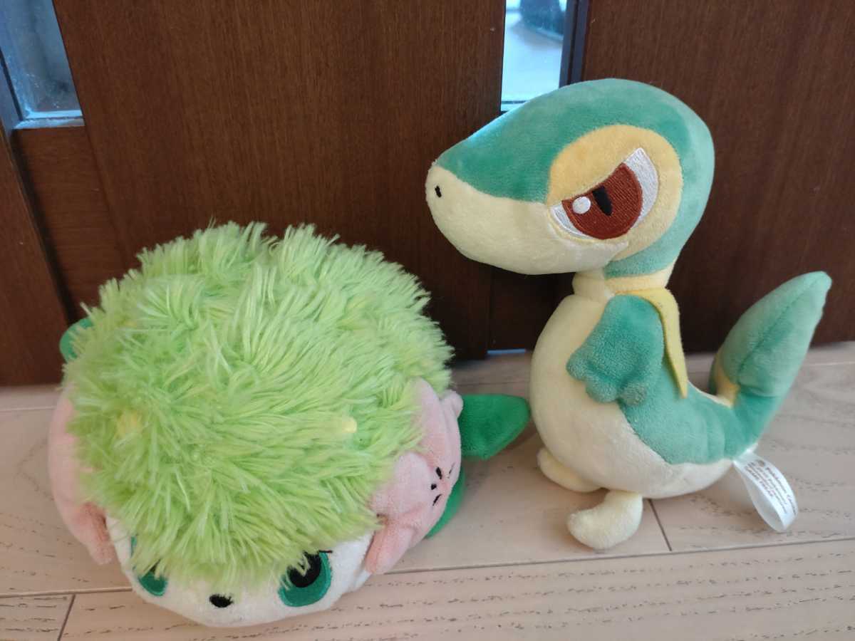 ポケモン ぬいぐるみ ポケモンセンター シェイミ ツタージャ セット 08 10 ポケットモンスター 売買されたオークション情報 Yahooの商品情報をアーカイブ公開 オークファン Aucfan Com
