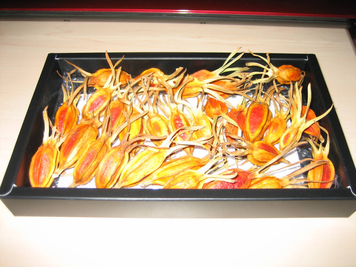 無農薬 くちなしの実 30個 栗きんとん パエリア キャラ弁の色付け 山梔子 サフラン代わりにクチナシの実 スパイス 売買されたオークション情報 Yahooの商品情報をアーカイブ公開 オークファン Aucfan Com