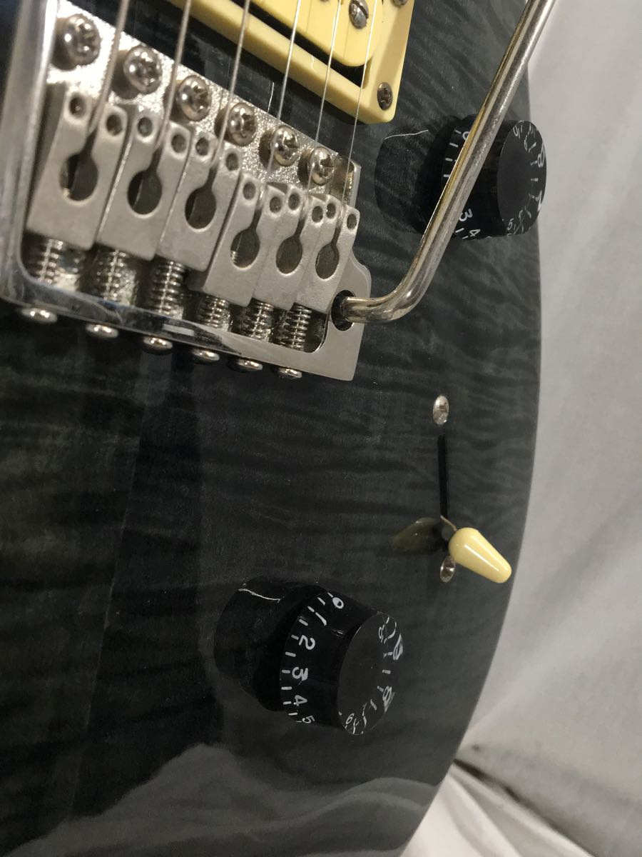 Paul Reed Smith SE CUSTOM24 PRS SE用ギグバッグ PRS(Paul Reed Smith)◇SE Custom24/エレキギター/純正ギグバッグ