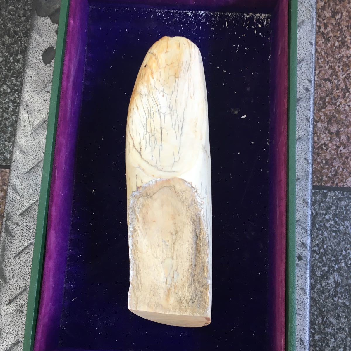 象牙風　象牙色　柄　角先　素材実重量　1.12kg 送料無料