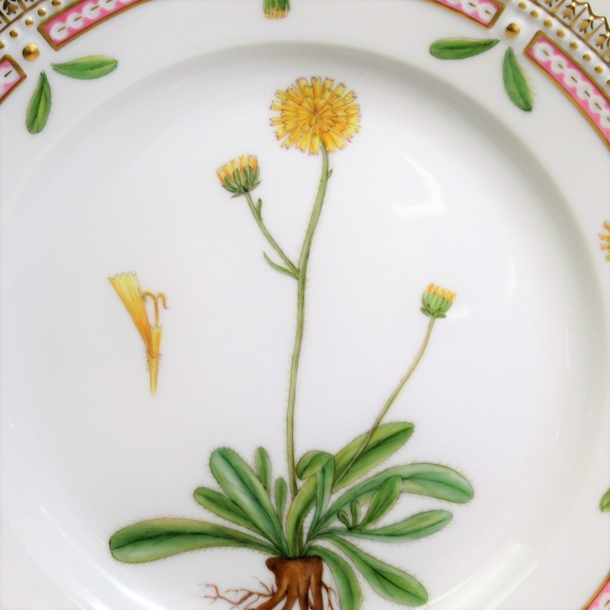 ロイヤルコペンハーゲン フローラダニカ Hieracium auriculaefarme Fr