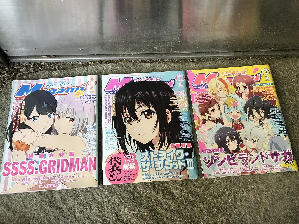 ☆ 2019年 メガミマガジン megamimagazine 3冊まとめて 雑誌 書籍 