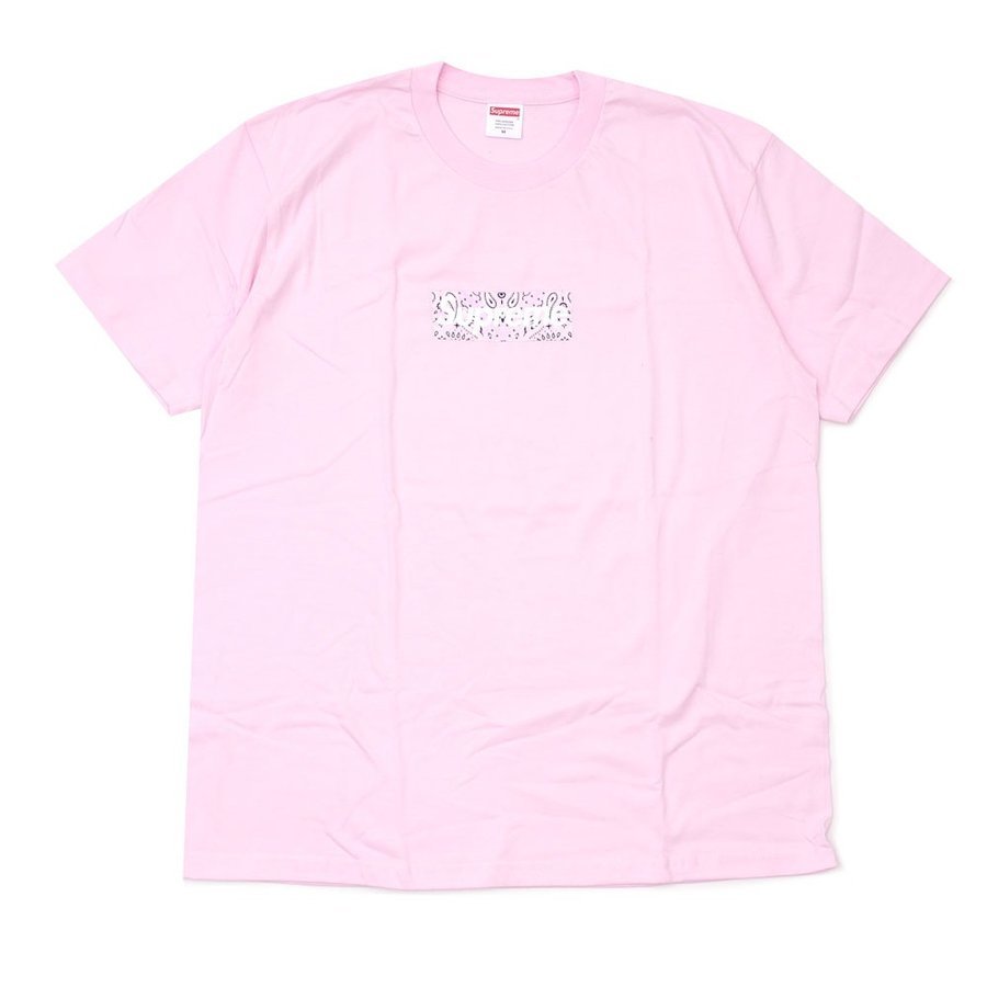 Bandana Box Logo Hooded Sweatshirt | Supreme 19fw