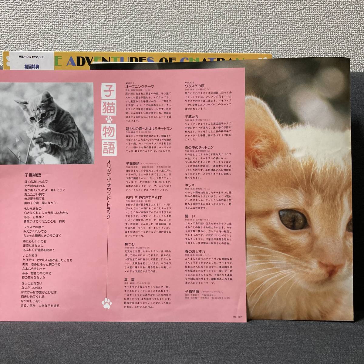 帯 ポスター付 坂本龍一 子猫物語 Lp 12インチ Midi Inc Mil 1017 テレビ映画舞台音楽 坂本龍一 売買されたオークション情報 Yahooの商品情報をアーカイブ公開 オークファン Aucfan Com