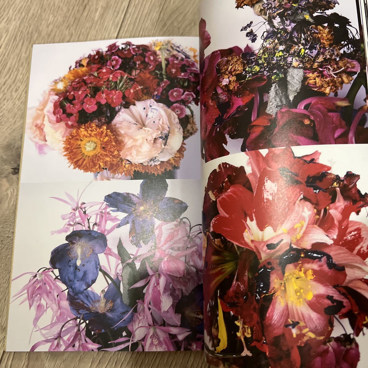 荒木経惟 熊本ララバイ 写真集 図録 熊本市現代美術館 (アート写真 