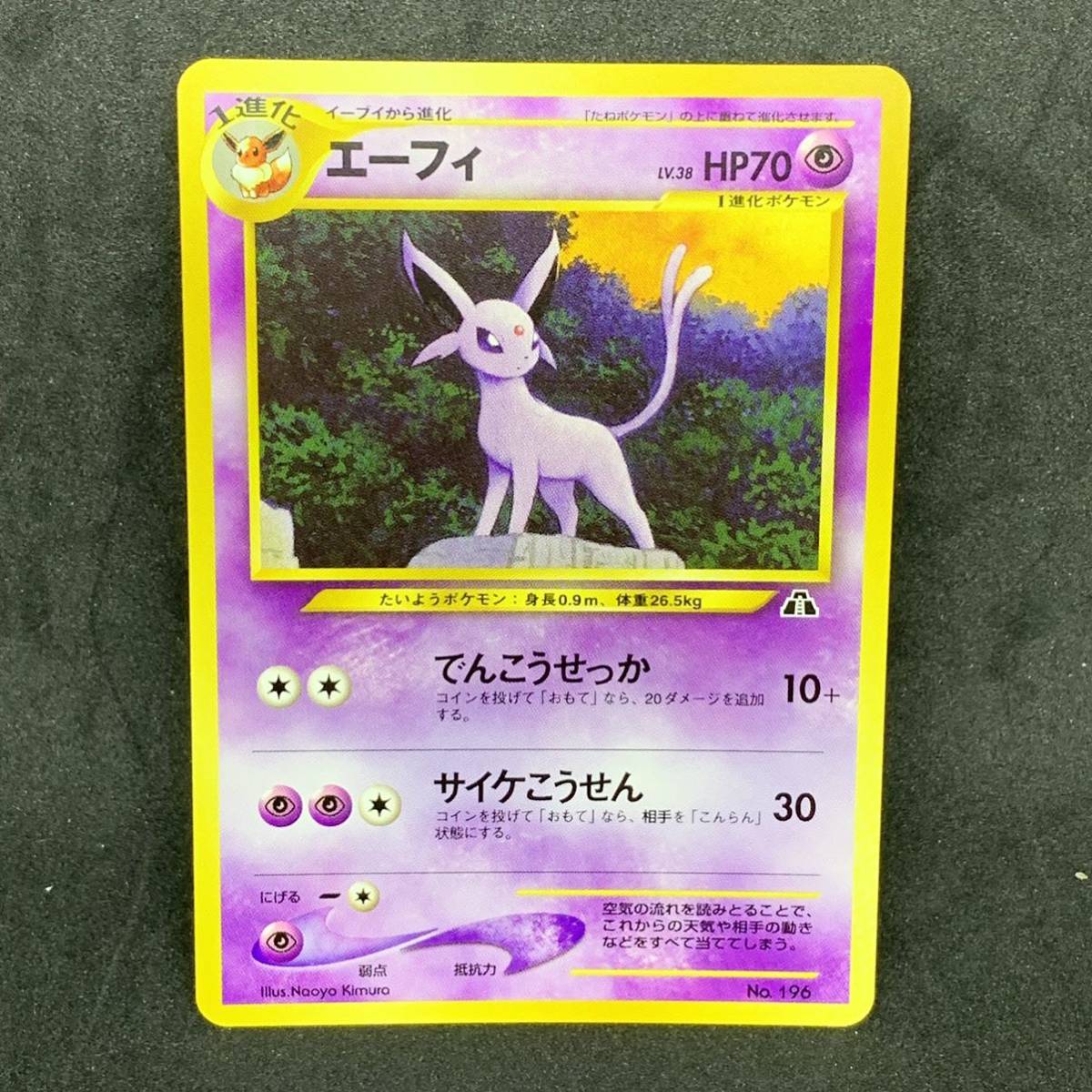 旧裏プロモ ポケカ プレミアムファイル ブラッキー エーフィ ピチュー