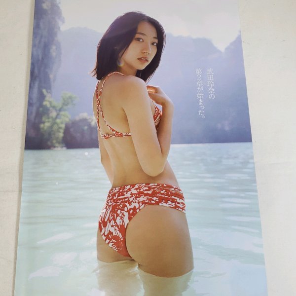 BK705 武田玲奈◇切り抜き 10ページ 切抜き 水着 ビキニ(タレント
