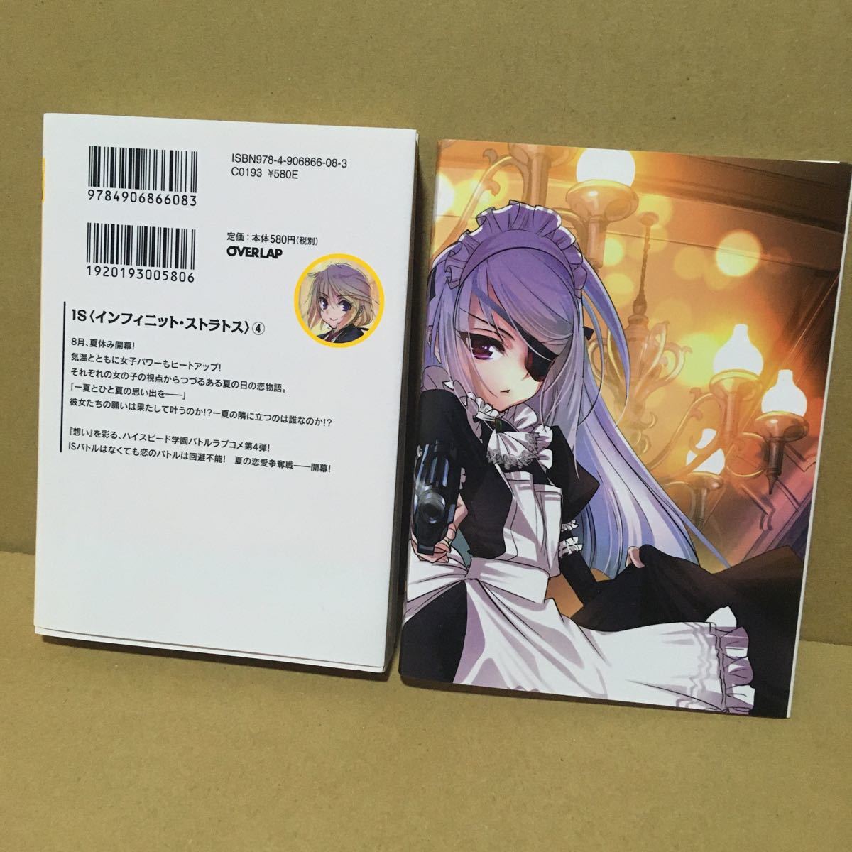インフィニットストラトス ゲーマーズ特典ブックカバー インフィニット
