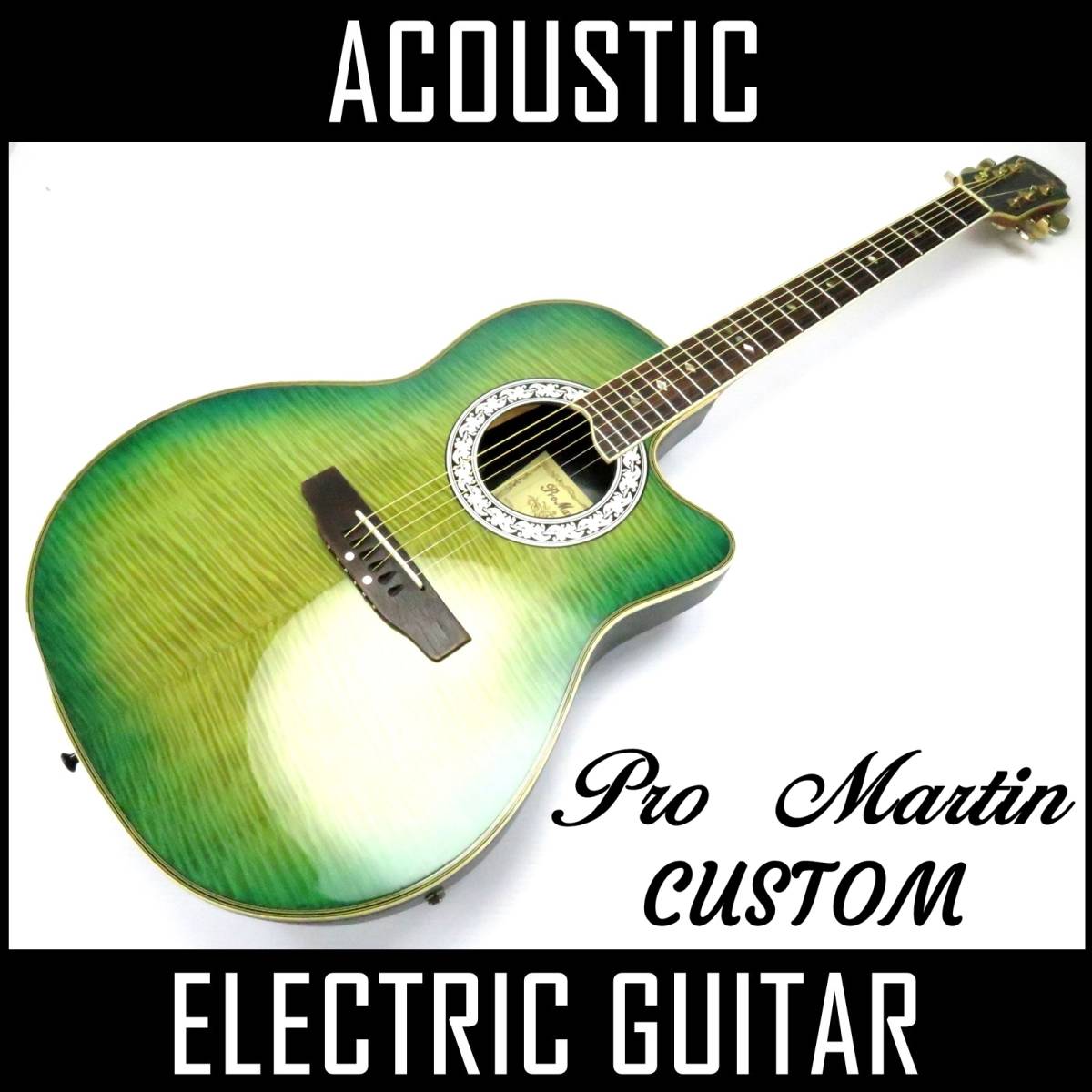☆通電・音出しOK pro martin プロ マーティン EA 450 虎杢 エレアコ 