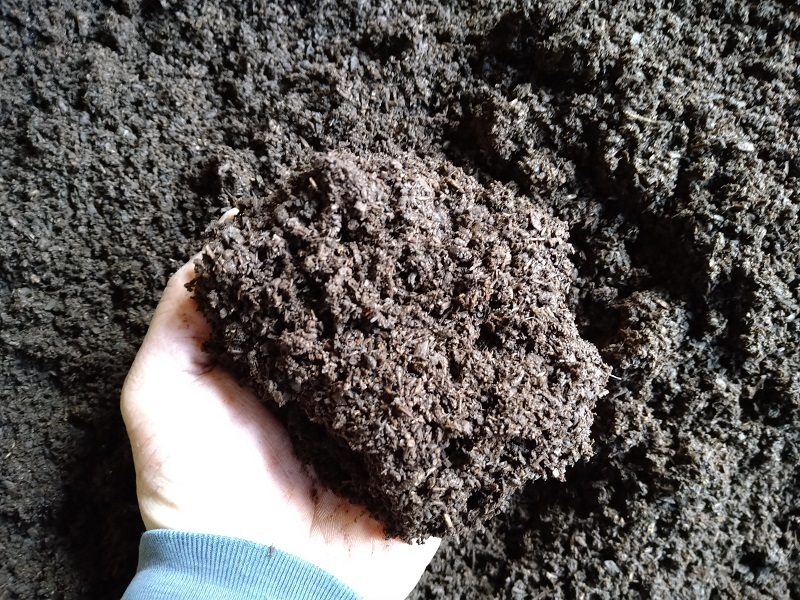 クワガタショップMD 10L×6袋 MDカブトマットベーシック MDカブトマットベーシック改 - 公式通販 10L 60L クワガタショップＭＤ MDカブト MDカブトマットプロ MDカブトマットベーシック10L×6袋 北海道 10L×5袋 ウルトラ MDクラフトマット