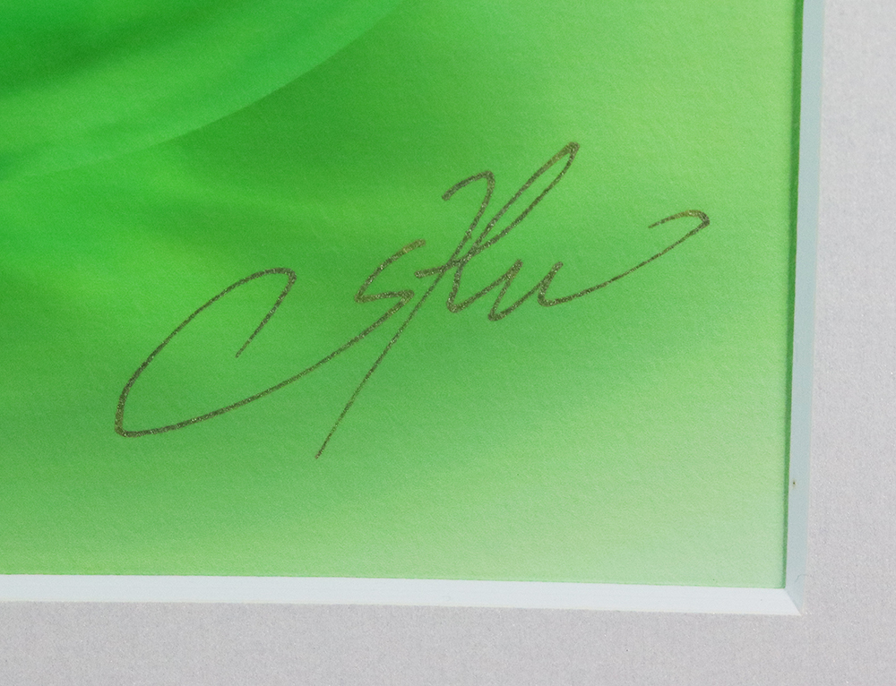 ◇美品◇SHU icandy メルティー◇版画◇ ○SHU○メルティー