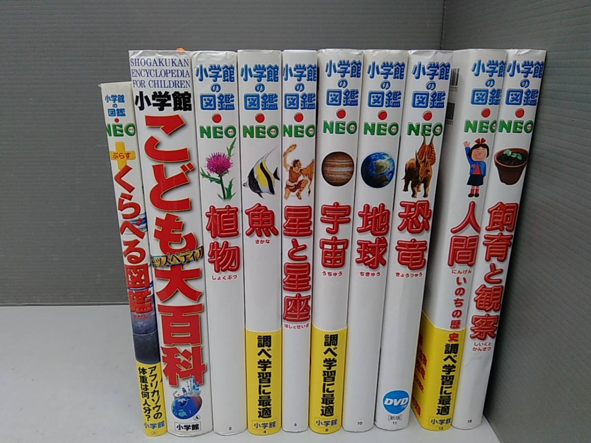 最大55 オフ 小学館の図鑑neo キッズペディア ニューワイド学研の図鑑 クイズブック クイズ図鑑 8冊セット Www Thewalldogs Com
