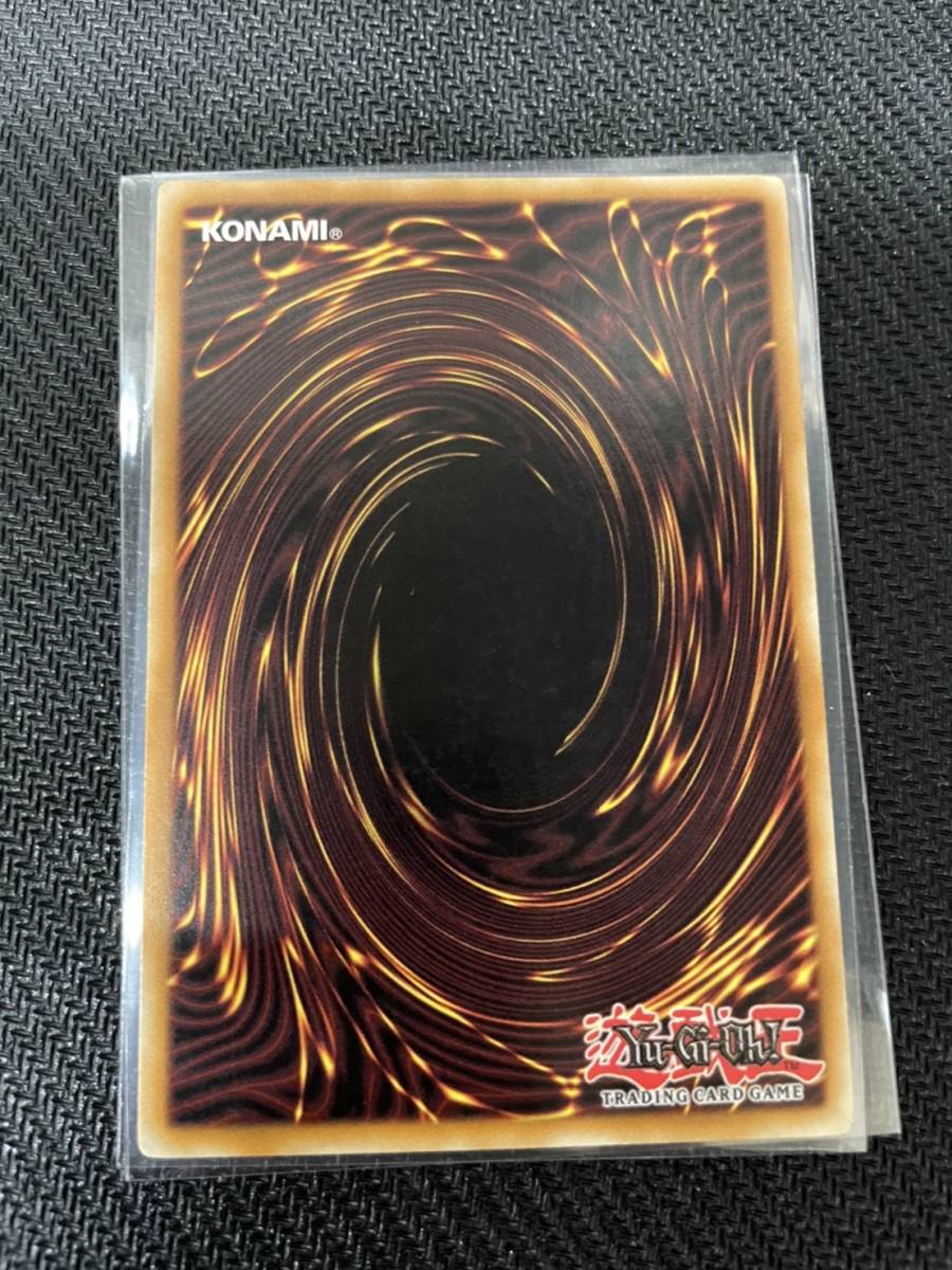 管理番号446 エラー 《タートル・タイガー/Turtle Tiger》 LOB-023