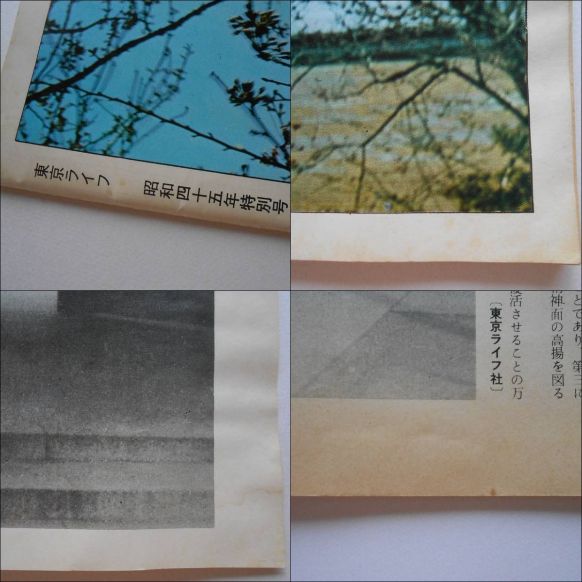 日本の心 祖国を愛した英霊に捧げる誠と祈り 貴重品 昭和45年特別号 靖国神社 わかき戦士の遺書 河野洋平 杉良太郎 天皇陛下 佐藤栄作_10