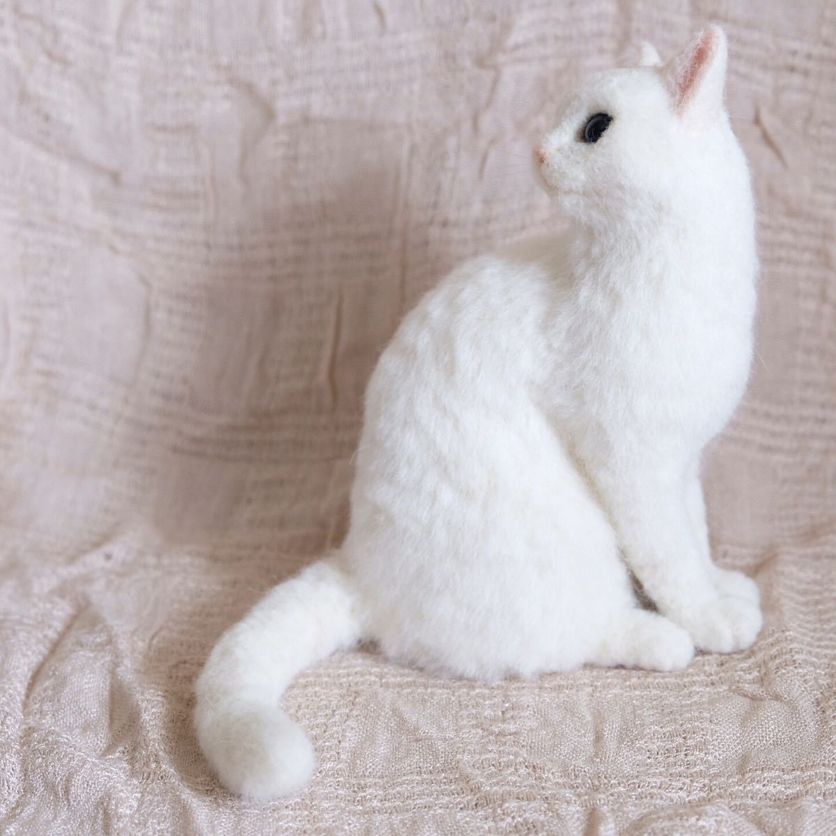 ☆羊毛フェルト 猫／白猫 見返り白猫の子☆にゃんころファクトリー