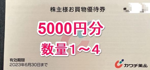 カワチ薬品 株主優待券 5000円分【最新】 新作,得価 カワチ薬品 株主優待券 5000円分【最新】 新作,得価