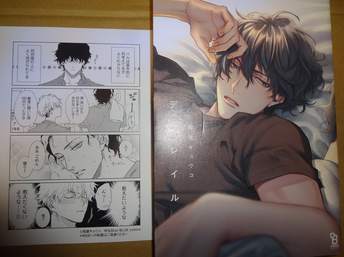 相葉キョウコ 恋愛感情論 初版 ディレイル ペーパー46種付 Www Torrezin Com Br