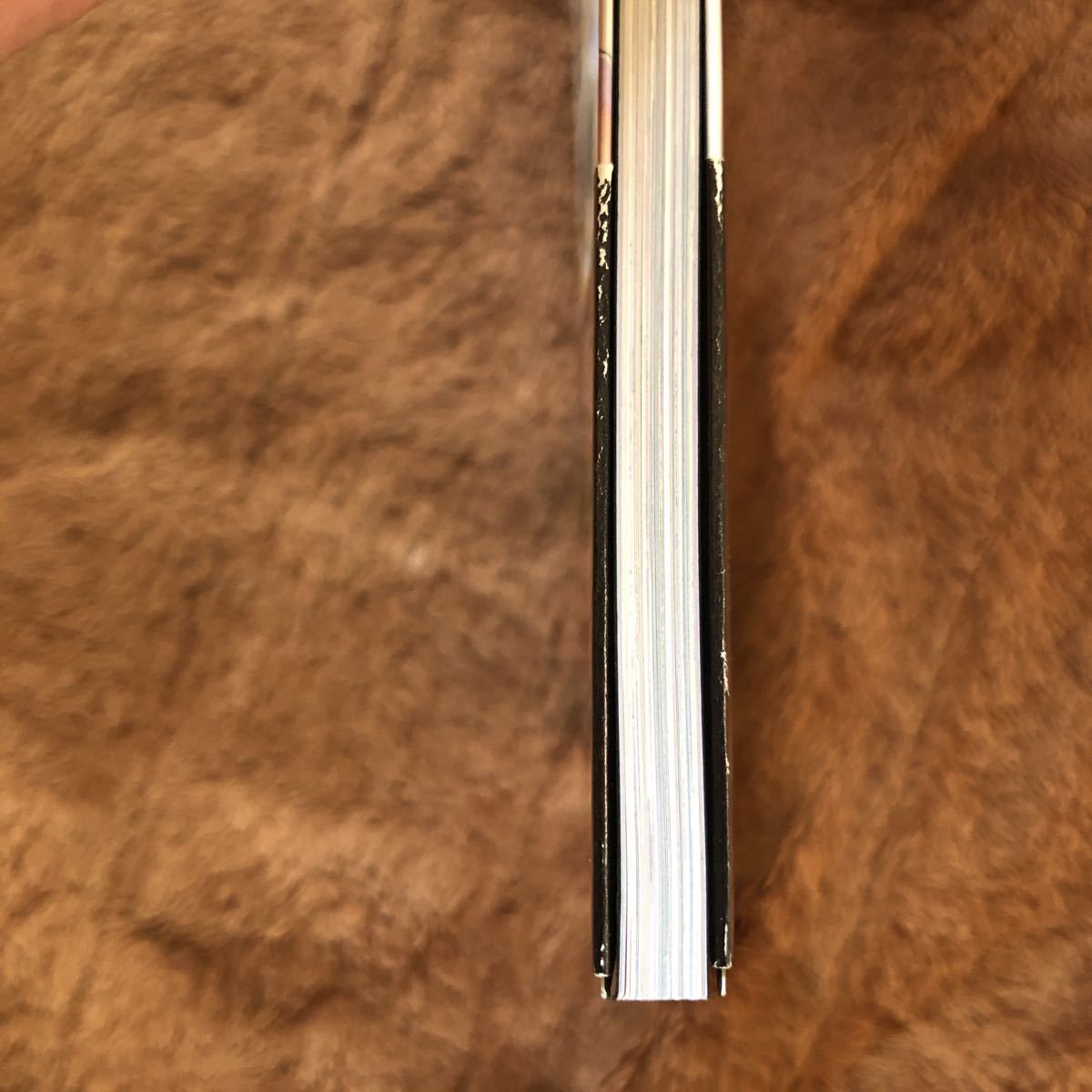 【送料無料 即決】 Ｇ／Ｂ　ゲットバッカーズ ＧｅｔＢａｃｋｅｒｓ　奪還屋 原画集 綾峰欄人 青樹佑夜 帯あり 初版本 状態良好_3