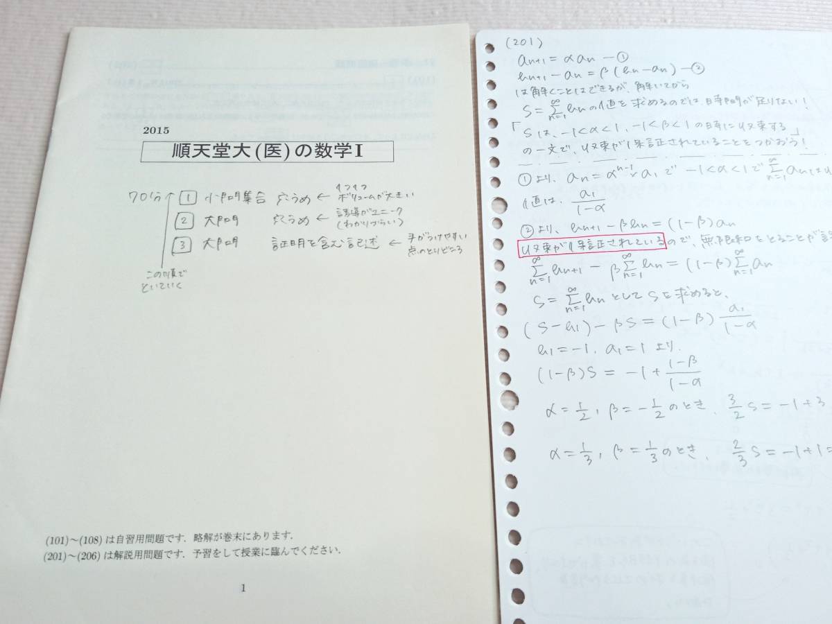 駿台 テキスト 中野芳樹 現代文 共通テスト対策 医学部 代ゼミ 駿台 鉄