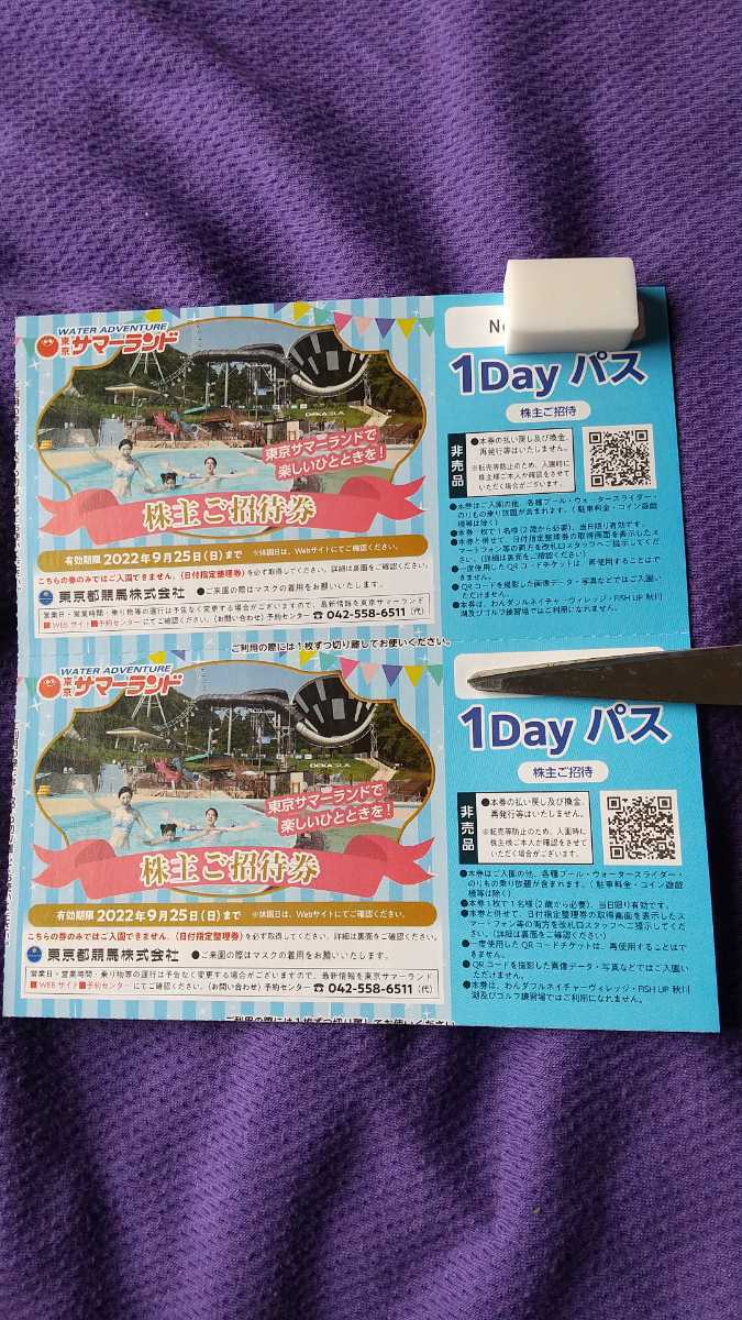 泳ぎに行くよ】東京サマーランド 株主優待券 1DAYパス 株主ご 泳ぎに行くよ】東京サマーランド 株主優待券 1DAYパス 株主ご