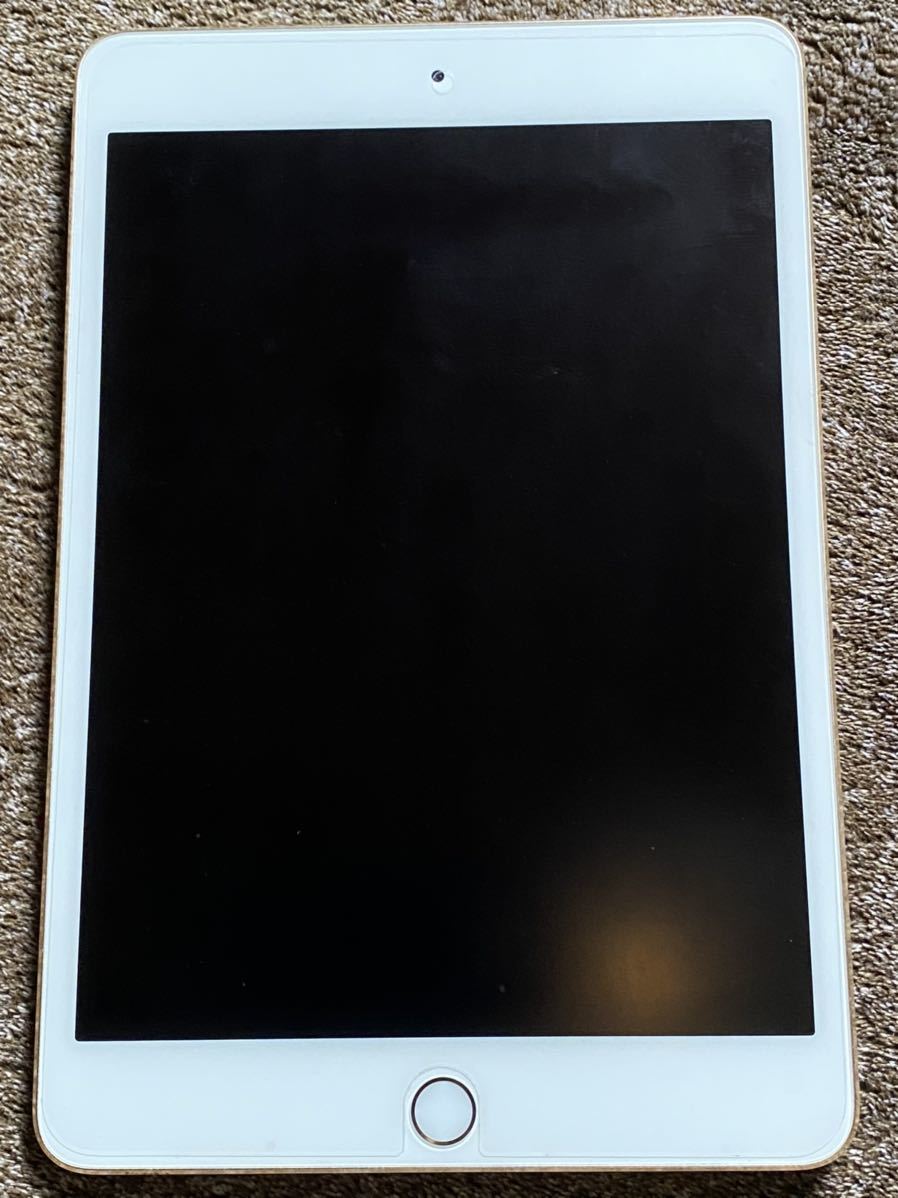 iPad mini 4 128G Wi-Fi使用 動作品　訳ありジャンク_1