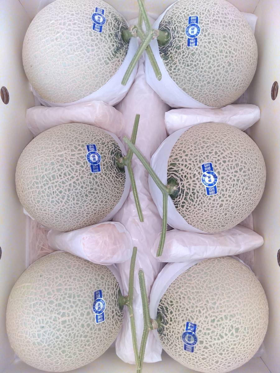 ☆送料無料 ☆約7，4～7，8kg 高知産 マスクメロン☆ 6玉入