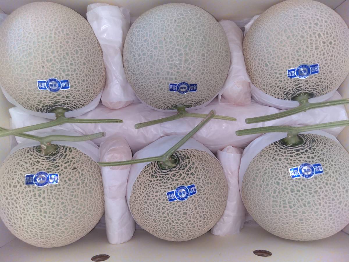 梅*信様 高知産　温室マスクメロン　５玉　約１０ｋｇ　贈答用　秀品　北海道沖縄発 ☆送料無料 ☆約7，4～7，8kg 高知産 マスクメロン☆ 6玉入