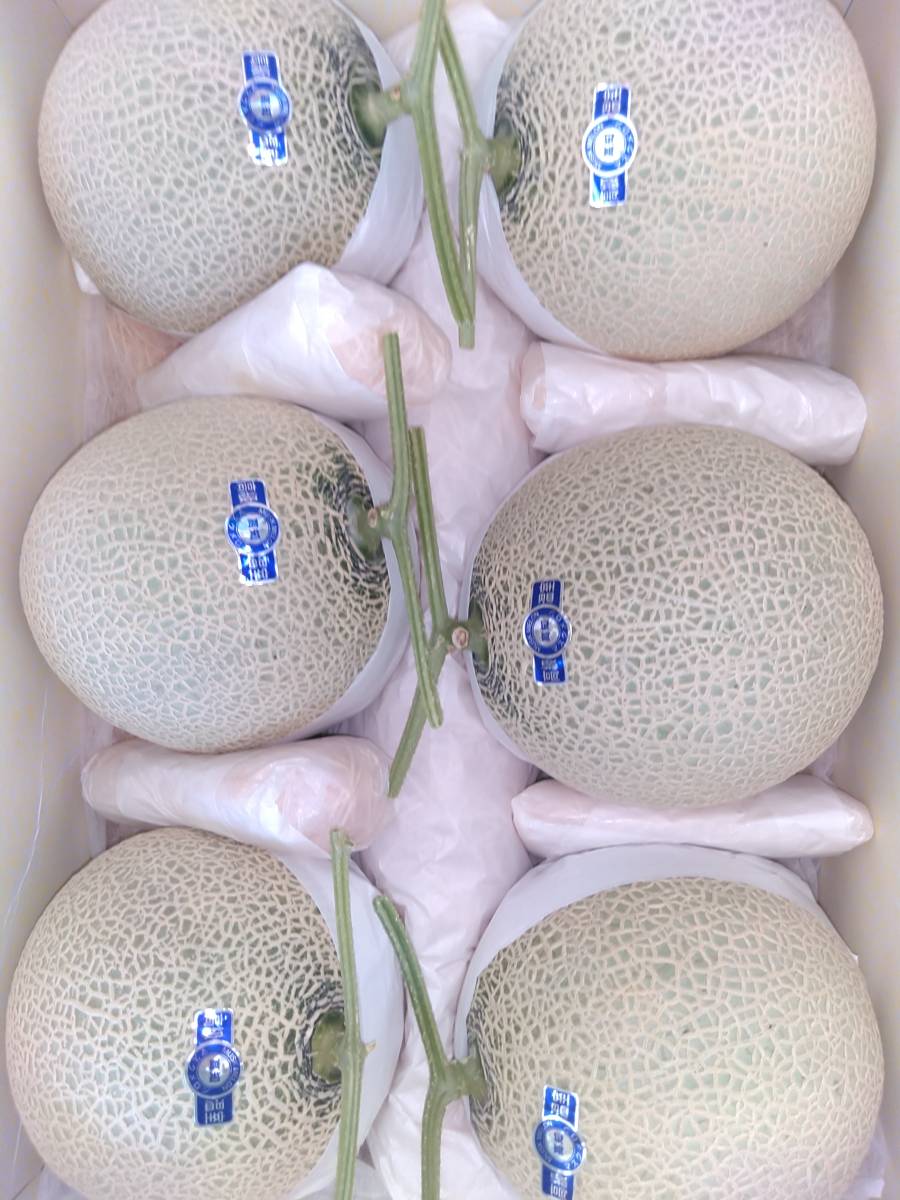 7*0様 高知県産　マスクメロン　4玉入り　 約10㎏（下箱込み） ☆送料無料 ☆約7，4～7，8kg 高知産 マスクメロン☆ 6玉入