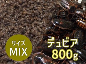ゴキブリの値段と価格推移は 1 312件の売買情報を集計したゴキブリの価格や価値の推移データを公開