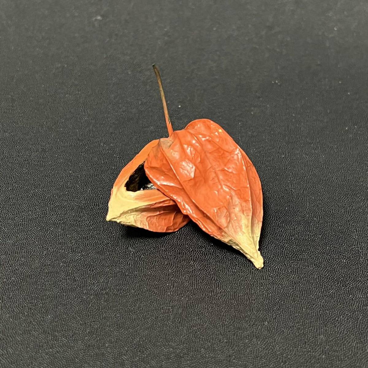 茄子 乾漆 茶器 二代田中健智 金沢の名工 なす ナス 共箱 薄茶器