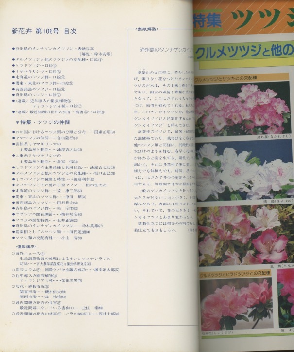 新花卉 第106号 特集 ツツジの仲間 検 タンナゲンカイツツジ ヤマツツジ マルバサツキ セイシカ ティランジア 野草 植物 売買されたオークション情報 Yahooの商品情報をアーカイブ公開 オークファン Aucfan Com