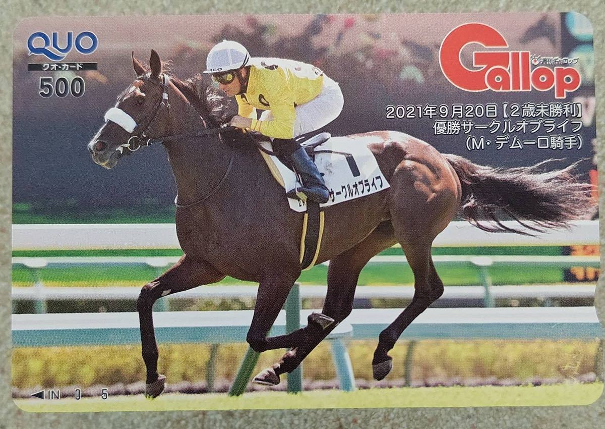 セール，低価 最新 サークルオブライフ 阪神JF ギャロップ gallop Gallop 非売品 クオカード 抽プレ 通知(競馬)｜売買されたオークション情報、yahooの商品情報をアーカイブ公開 - オークファン 競馬